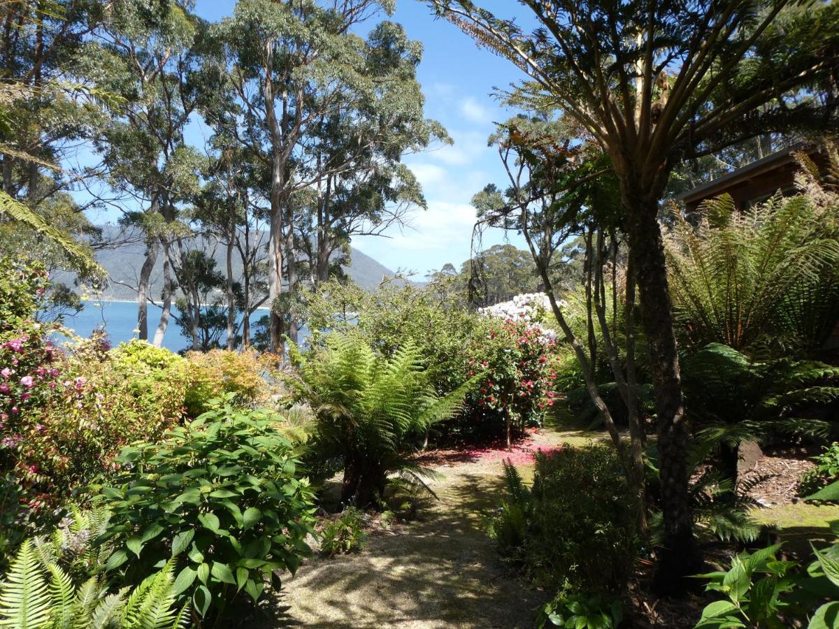 Osprey Lodge & Bungalow Eaglehawk Neck Zewnętrze zdjęcie